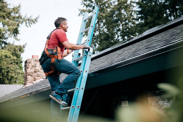 Best Storm Damage Roof Repair  in Union City, MI